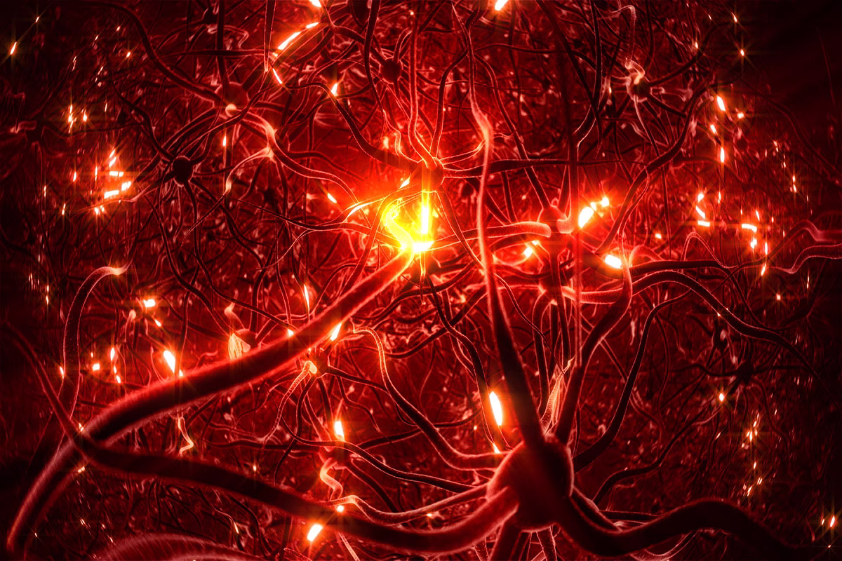 Neurons,,Brainstorm,,Red,Version.,3d,Illustration.