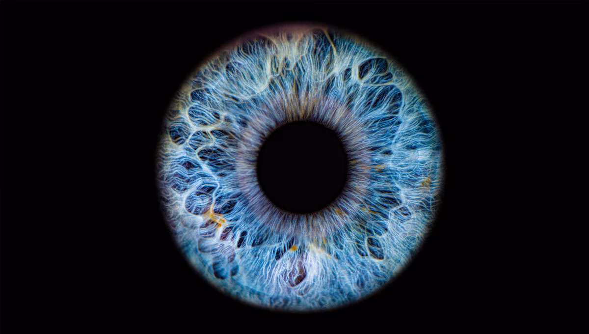 Close,Up,Of,Eye,Iris,On,Black,Background,,Macro,,Photography