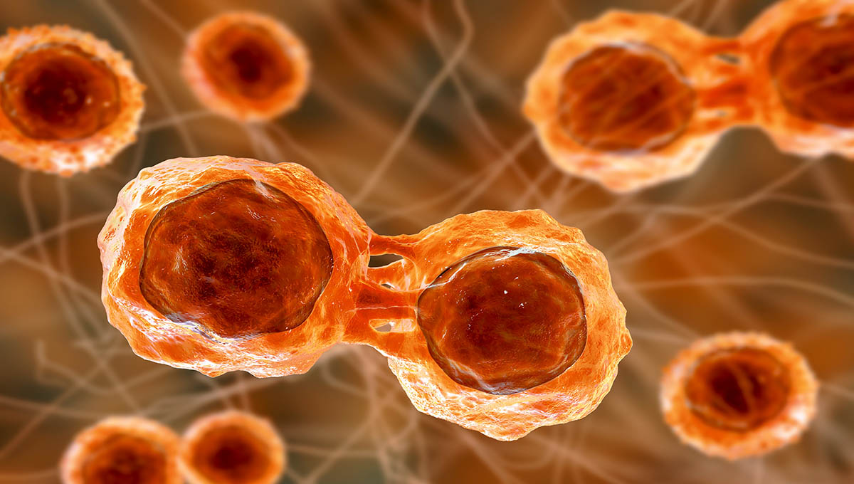 Dividing,Stem,Cells,,3d,Illustration.,Research,And,Scientific,Background