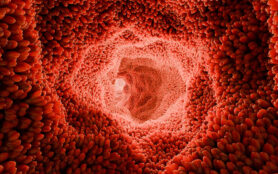 Intestinal,Villi.red,Microvilli,In,A,Intestinal,Tract.,Close Up,,Microbiology,,Anatomy,