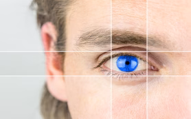 Visuelle Wahrnehmung