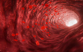 Red,Blood,Cells,In,An,Artery,Or,Blood,Vessel,,