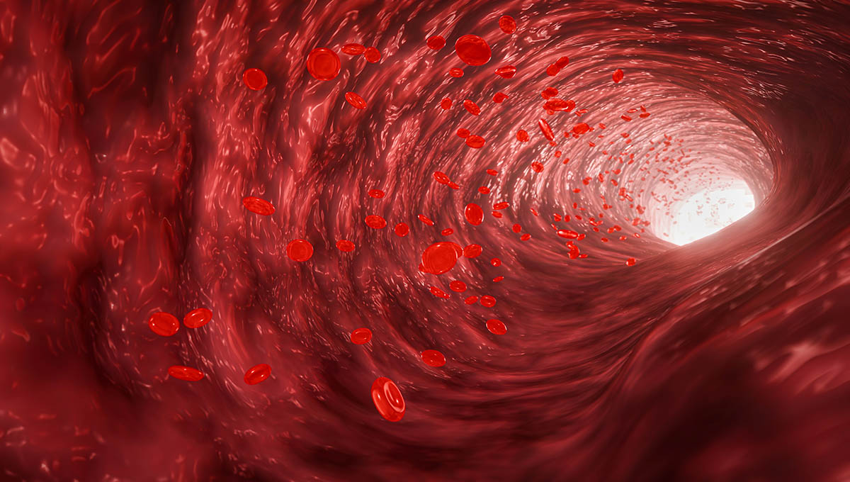 Red,Blood,Cells,In,An,Artery,Or,Blood,Vessel,,