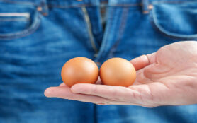 Brown,Eggs,In,Hand,As,A,Symbol,Of,Male,Testicles