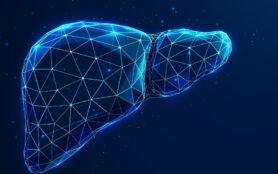 Abstract,Blue,Human,Liver,Structure.,Liver,Anatomy,,Left,And,Right