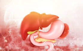 Human,Liver,Digestive,System,Anatomy.,3d,Illustration