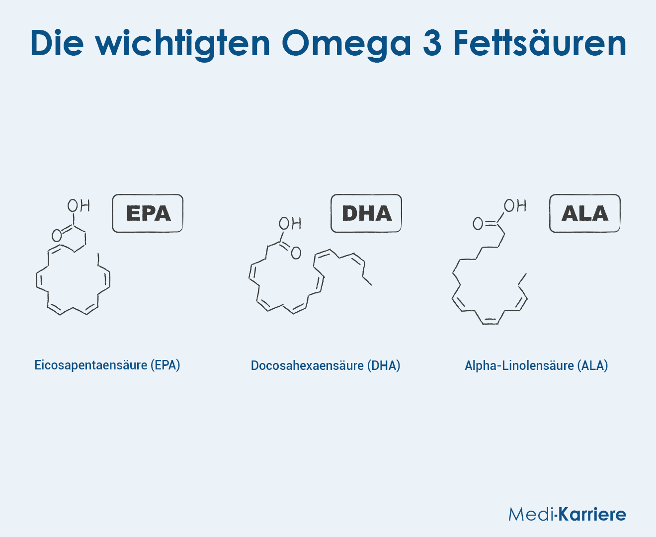 Omega 3 Fettsäuren