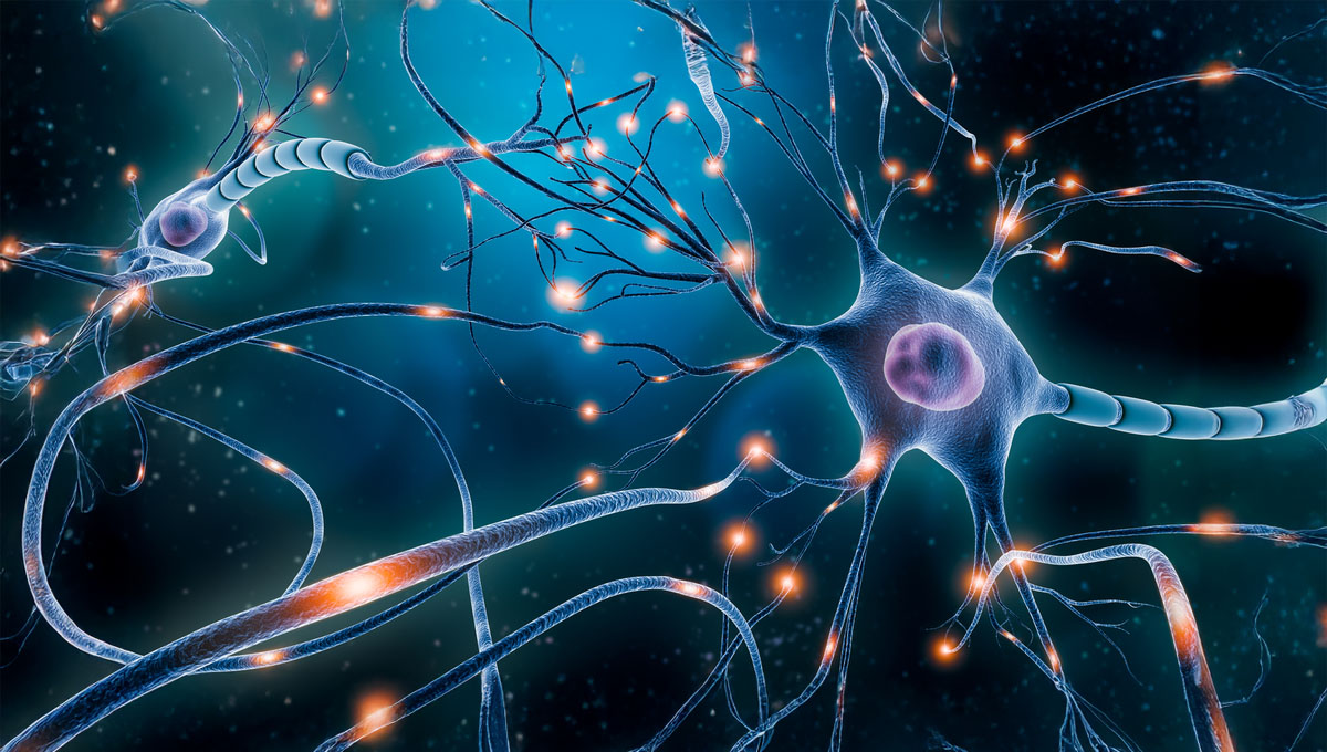 Neuronal,Network,With,Electrical,Activity,Of,Neuron,Cells,3d,Rendering