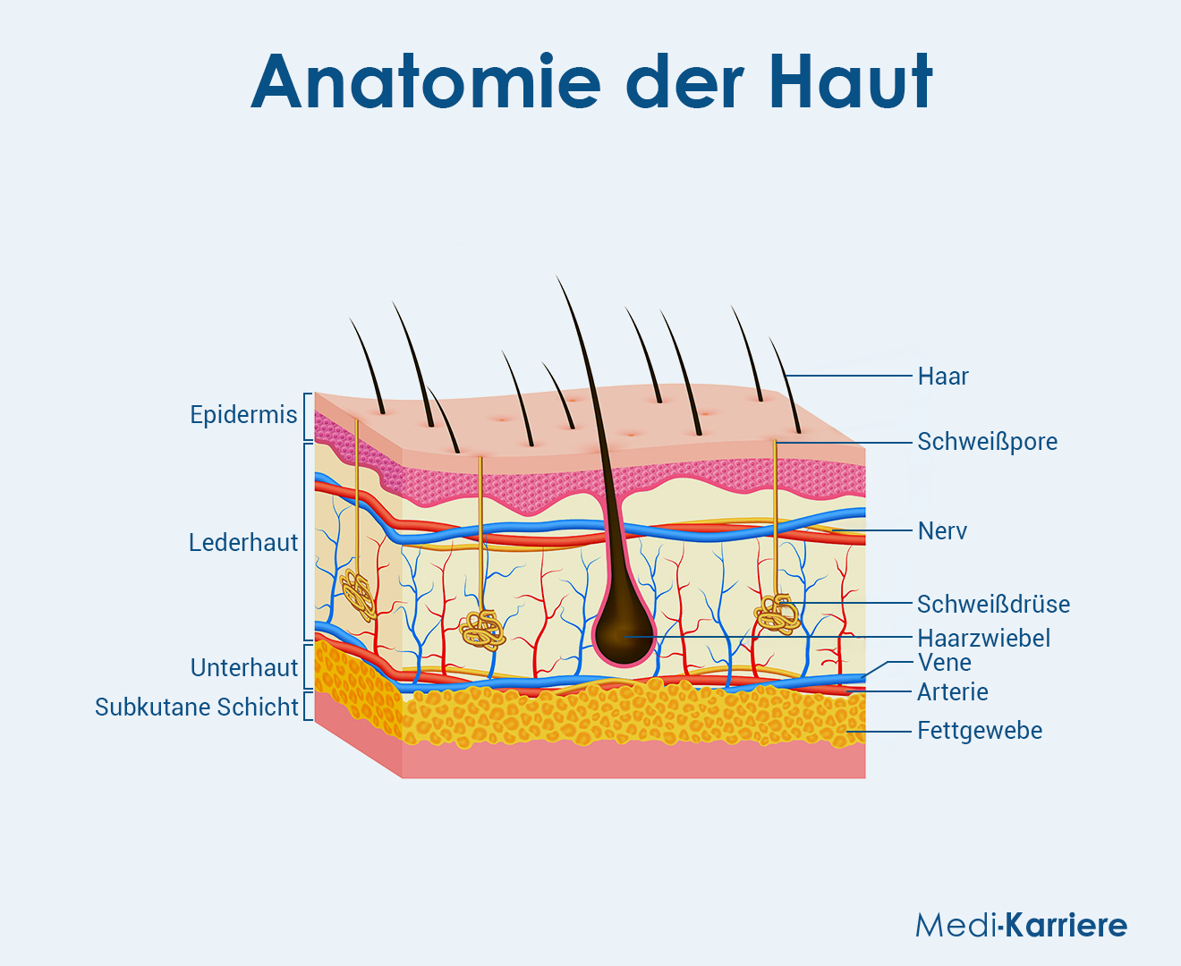 Schwitzen Grafik 2
