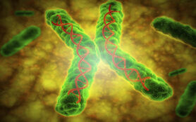Conceptual,Image,Of,A,Telomere.,A,Telomere,Is,A,Region