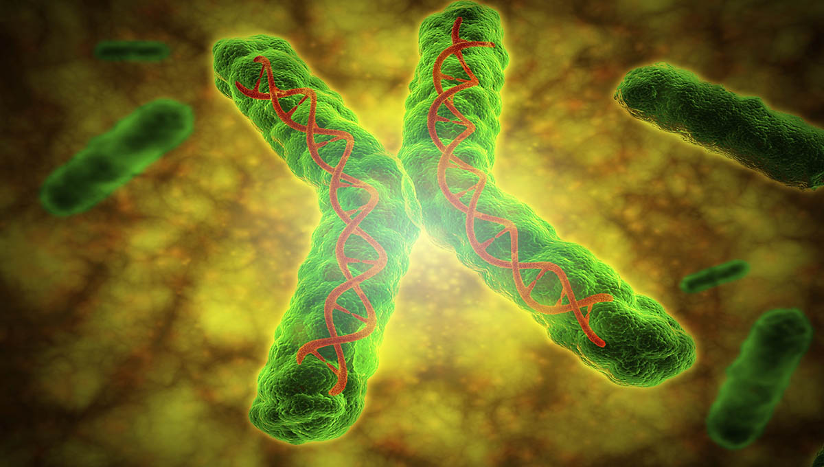 Conceptual,Image,Of,A,Telomere.,A,Telomere,Is,A,Region