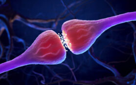 Synapse,And,Neuron,Cells,Sending,Electrical,Chemical,Signals,.,3d