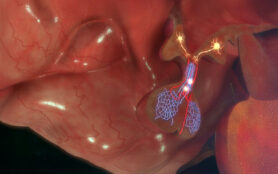 Hypothalamus,Releasing,Gnrh