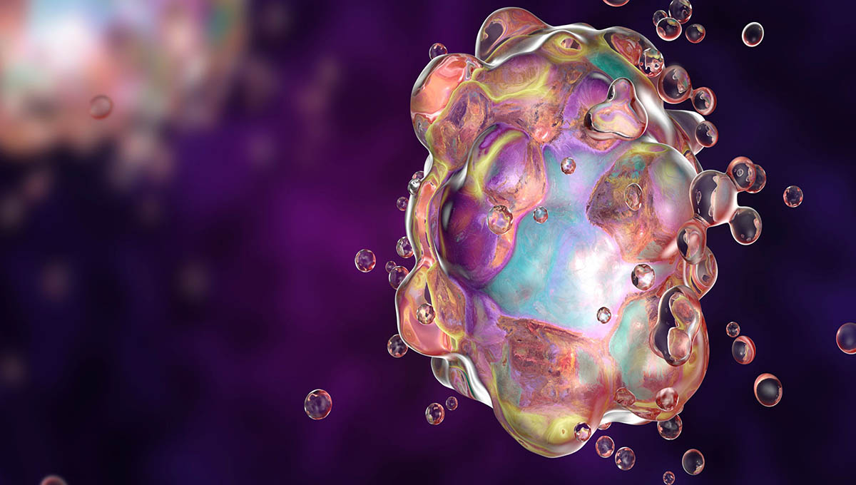 Cell,Apoptosis,Mechanism,,Autophagy,Process,Illustration,,Cellular,Self,Destruction,,Programmed