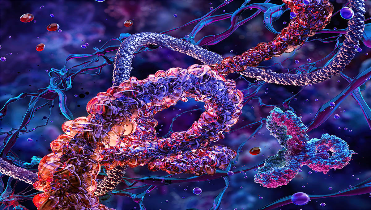 3d,Protein,Molecules,Structure,Formed,By,Amino,Acids,And,Peptides.
