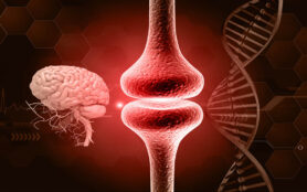 Human,Brain,Anatomy,With,Neurons,,Brain,Cells,,Neural,Network,Synaptic