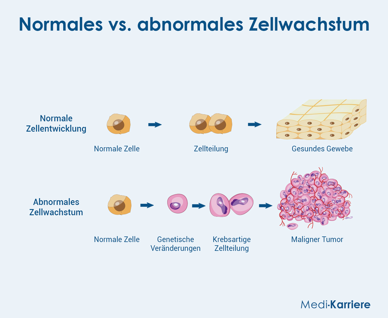 Wachstum 3 Grafik