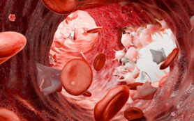 Hemostasis.,Red,Blood,Cells,And,Platelets,In,The,Blood,Vessel,