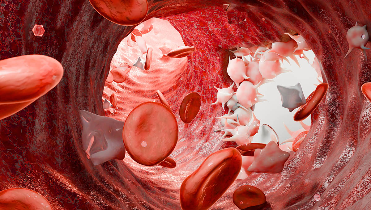 Hemostasis.,Red,Blood,Cells,And,Platelets,In,The,Blood,Vessel,