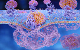Ldl,Particles,Binding,To,Ldl,Receptors,On,The,Cell,Membrane.