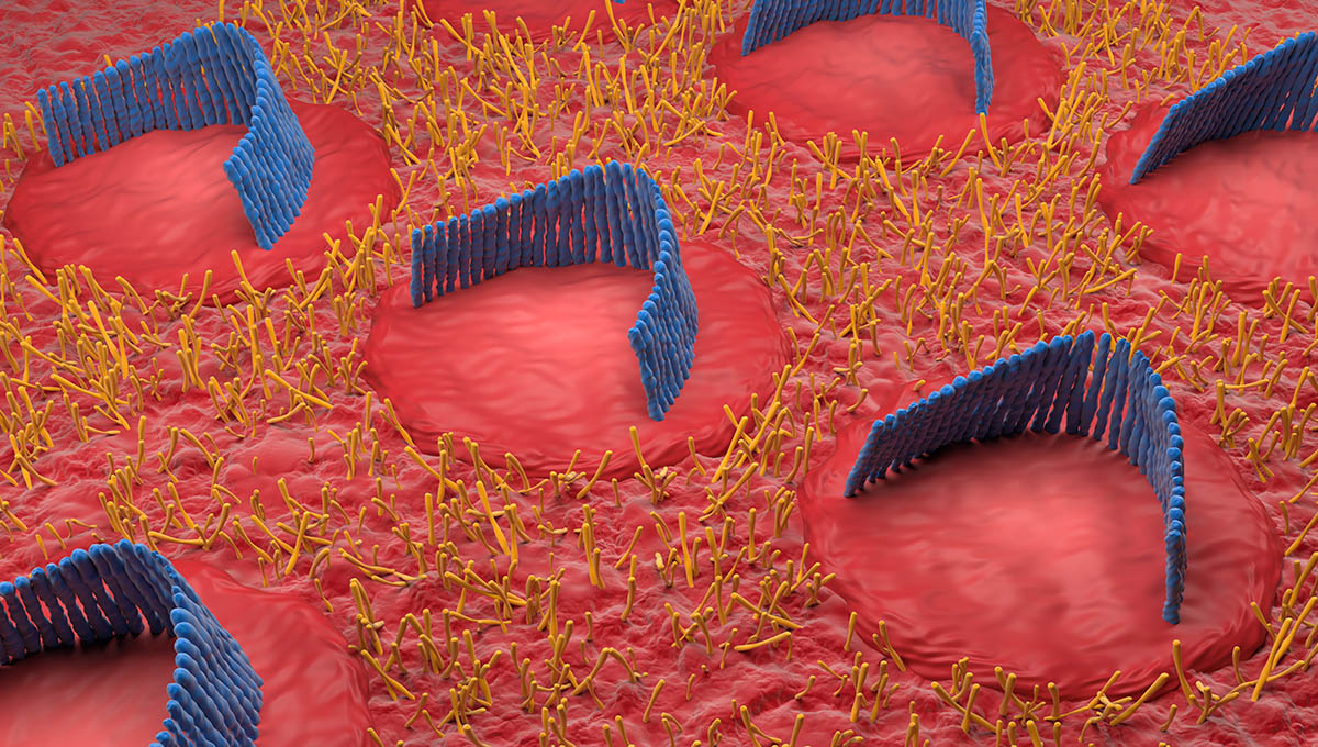 Inner,Ear,Hair,Cells,Field,In,The,Vestibular,System,