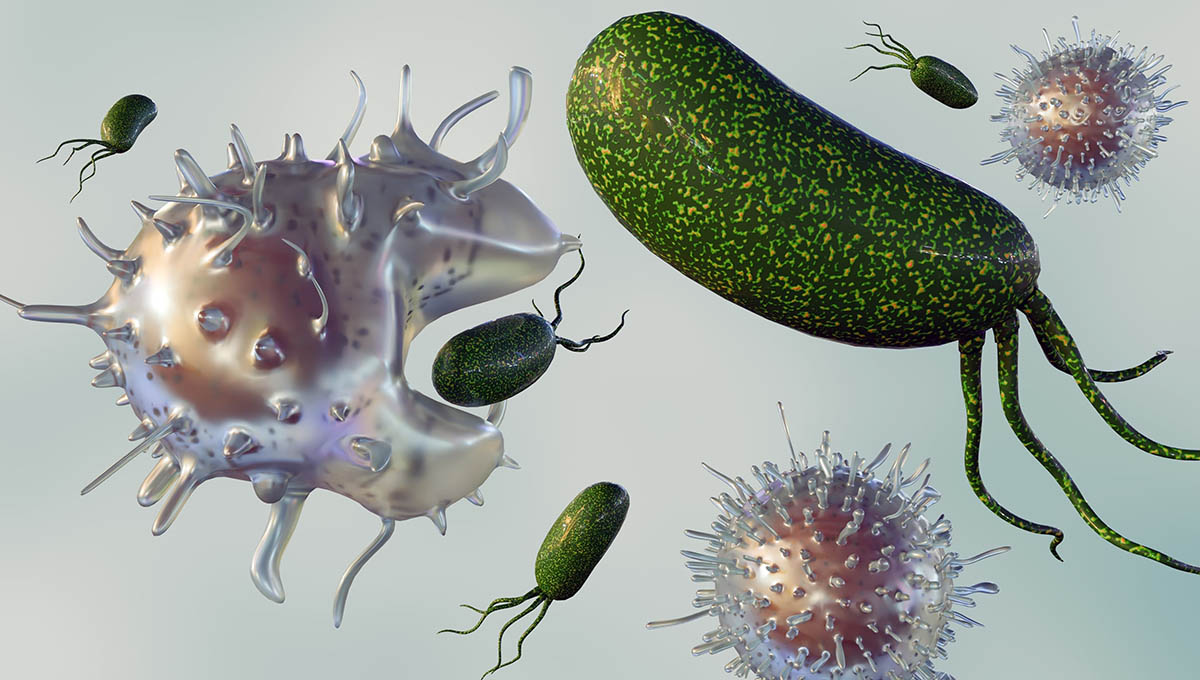 Phagocytosis,Is,A,Cellular,Process,Where,Specialized,Cells,Called,Phagocytes