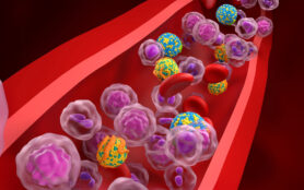 Hdl,(good),And,Ldl,(bad),Lipoprotein,(cholesterol),In,The,Blood