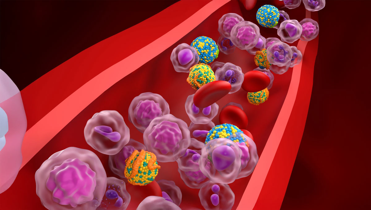 Hdl,(good),And,Ldl,(bad),Lipoprotein,(cholesterol),In,The,Blood