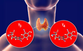 Molecules,Of,Thyroid,Hormones,T3,And,T4.,Triiodothyronine,And,Thyroxine,