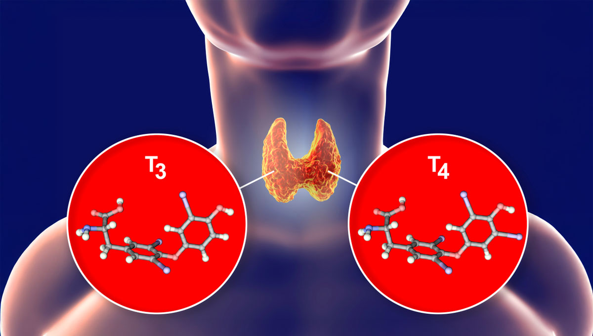 Molecules,Of,Thyroid,Hormones,T3,And,T4.,Triiodothyronine,And,Thyroxine,