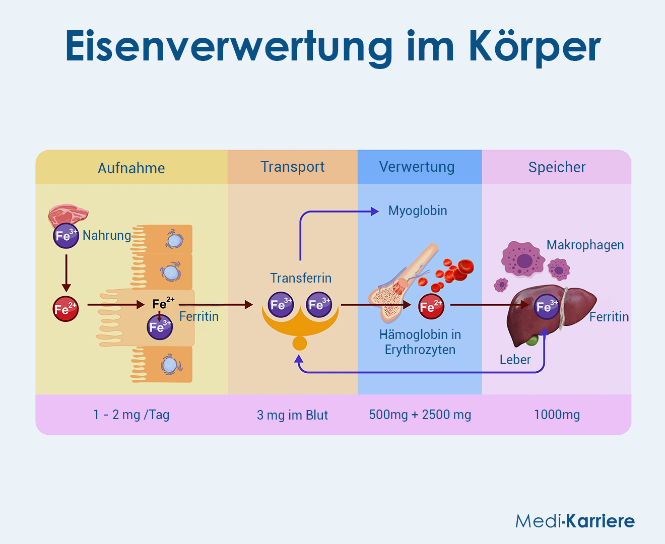 Eisen Grafik