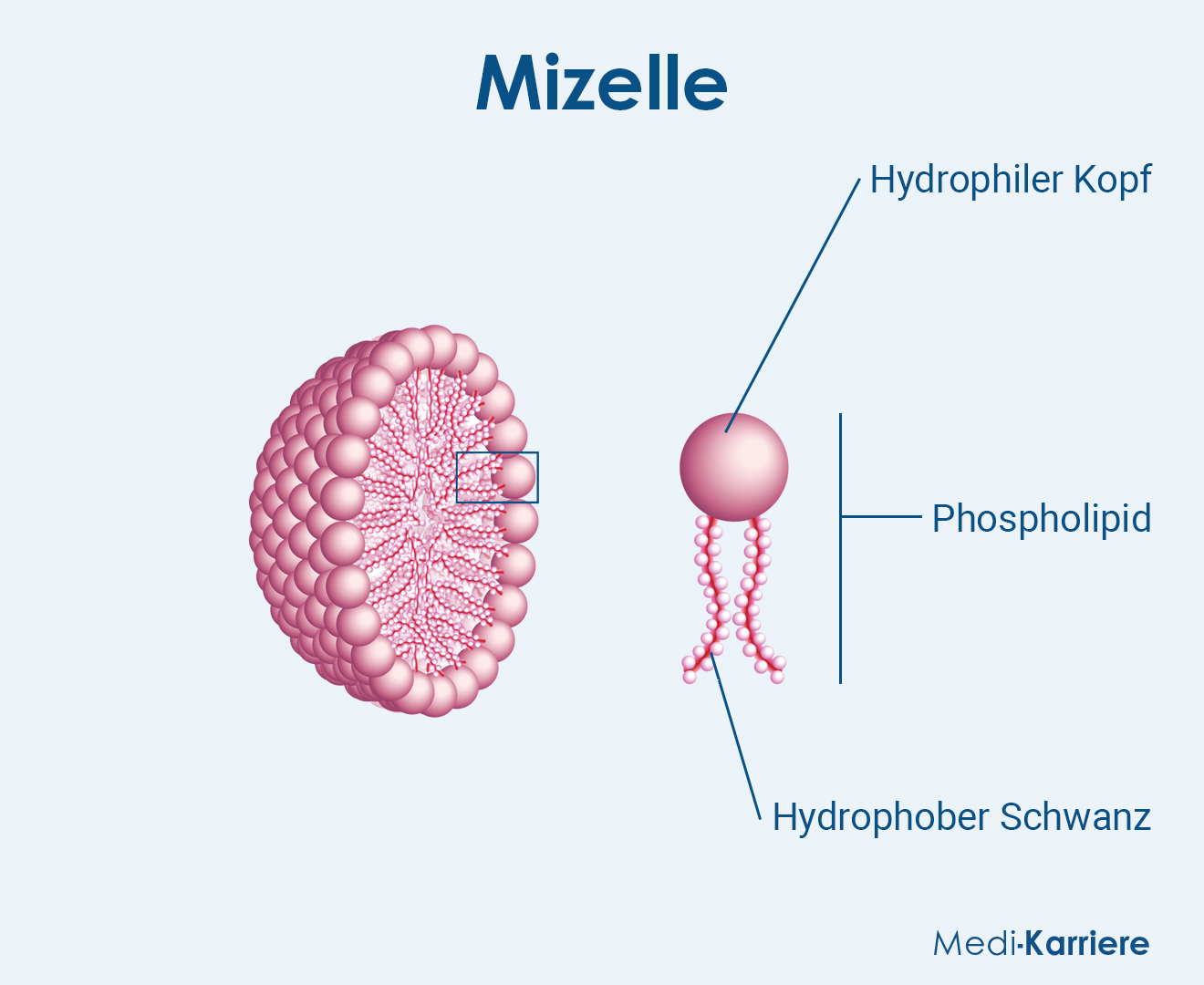 Mizelle Grafik
