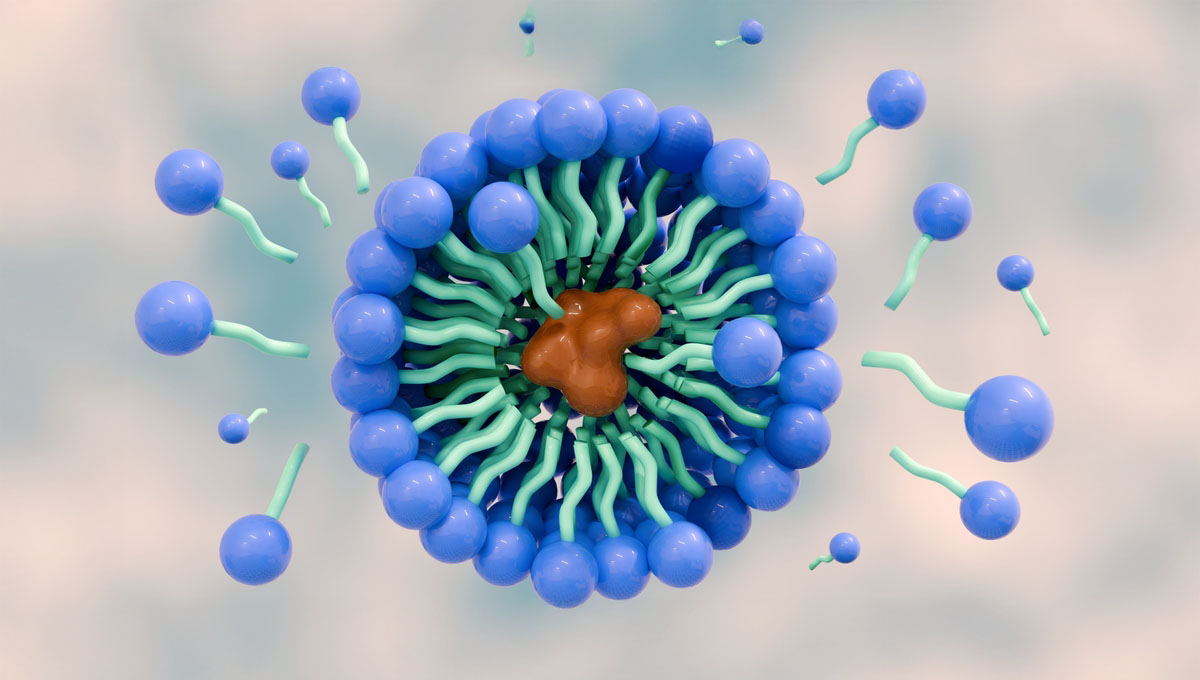 3d,Rendering,Of,The,Soap,Molecules,Form,Structures,Called,Micelles.