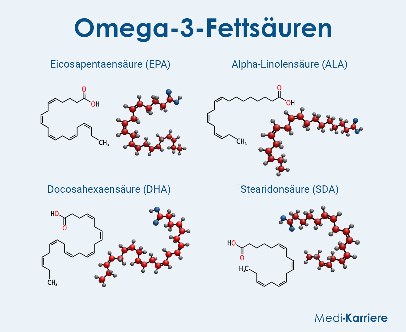 Omega 3 Fettsäuren Grafik