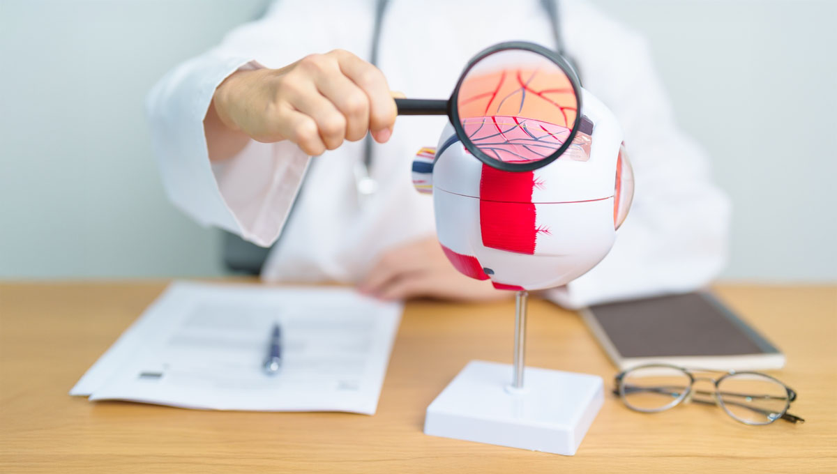 Doctor,With,Human,Eye,Anatomy,Model,With,Magnifying,Glass.,Eye