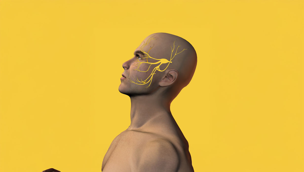3d,Illustration,Of,Male,Face,With,Trigeminal,Nerve