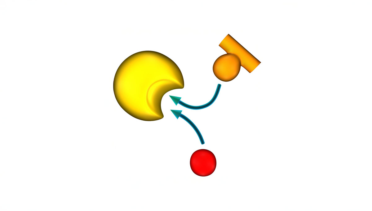 Competitive,Inhibition