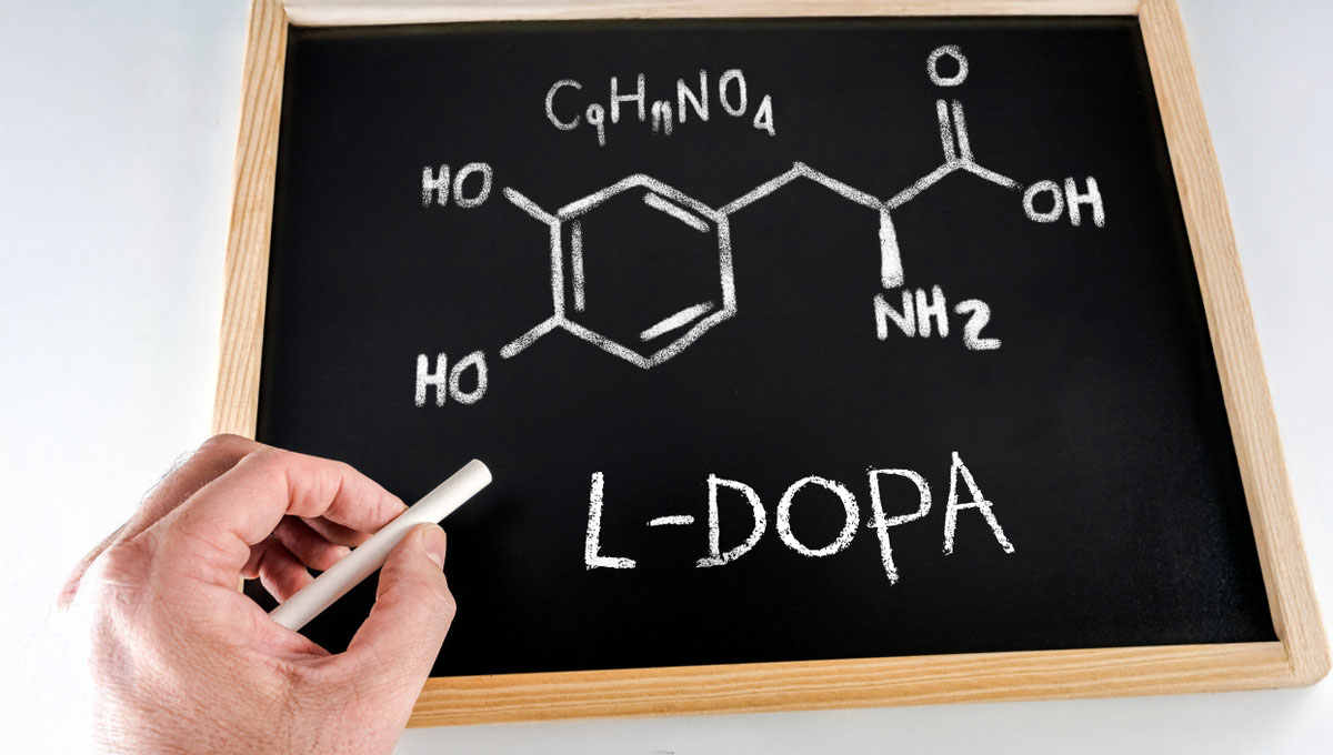 Chemical,Formula,And,Nomenclature,Of,L Dopa,Handwritten,With,Chalk,On