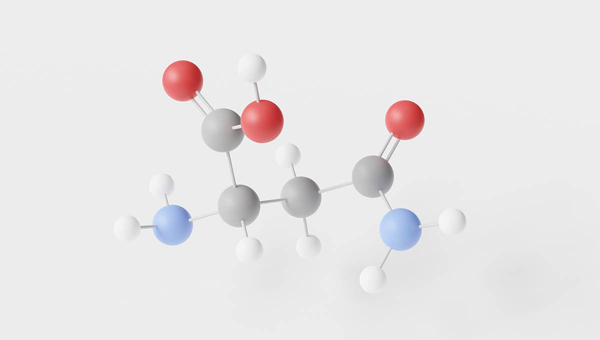 Asparagine,Molecule,3d,,Molecular,Structure,,Ball,And,Stick,Model,,Structural