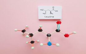 Molecular,Structure,Model,And,Structural,Chemical,Formula,Of,Leucine,Molecule.