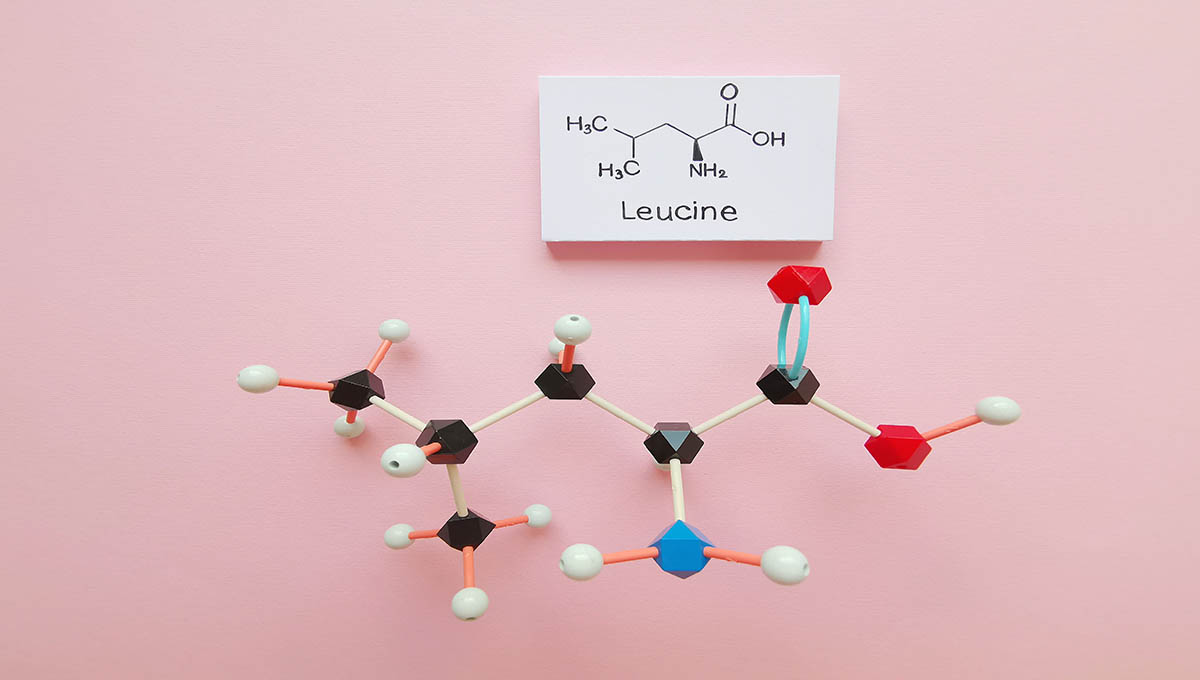 Molecular,Structure,Model,And,Structural,Chemical,Formula,Of,Leucine,Molecule.