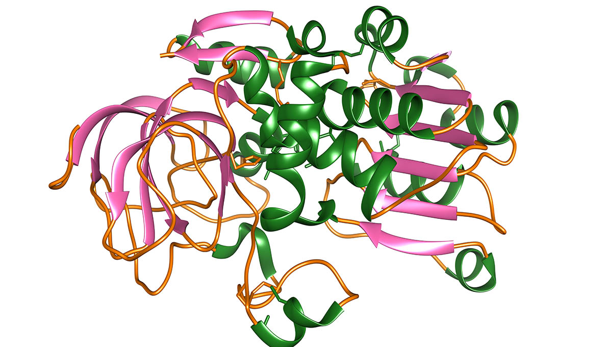 Alcohol,Dehydrogenase,3d,Illustration.,Enzyme,That,Occur,In,Many,Organisms