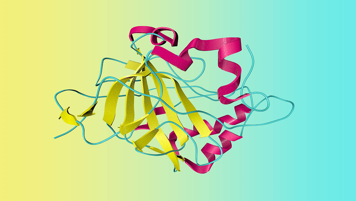 Crystal,Structure,Of,Human,Carbonic,Anhydrase,In,Complex,With,Bicarbonate.