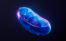 Mitochondria,With,Dark,Neon,Light,Effect,,3d,Rendering.,3d,Illustration.