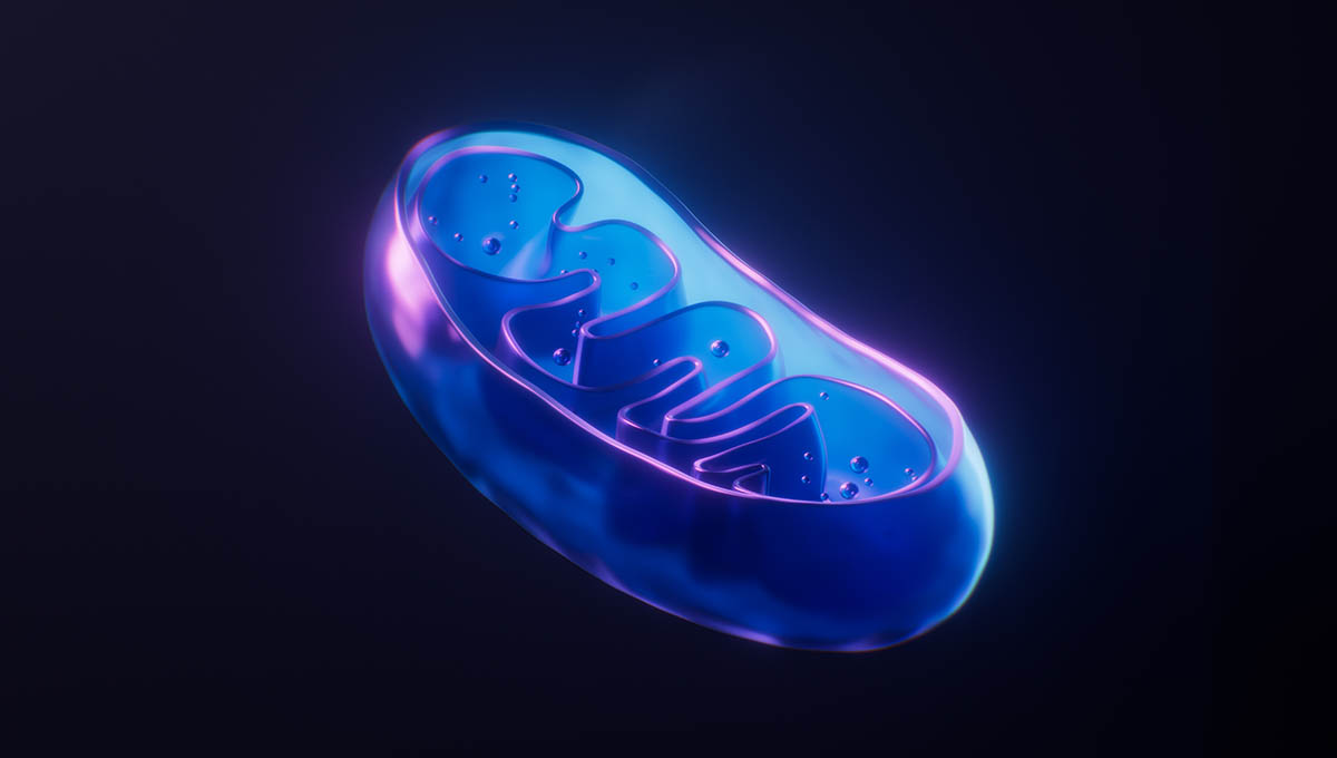 Mitochondria,With,Dark,Neon,Light,Effect,,3d,Rendering.,3d,Illustration.