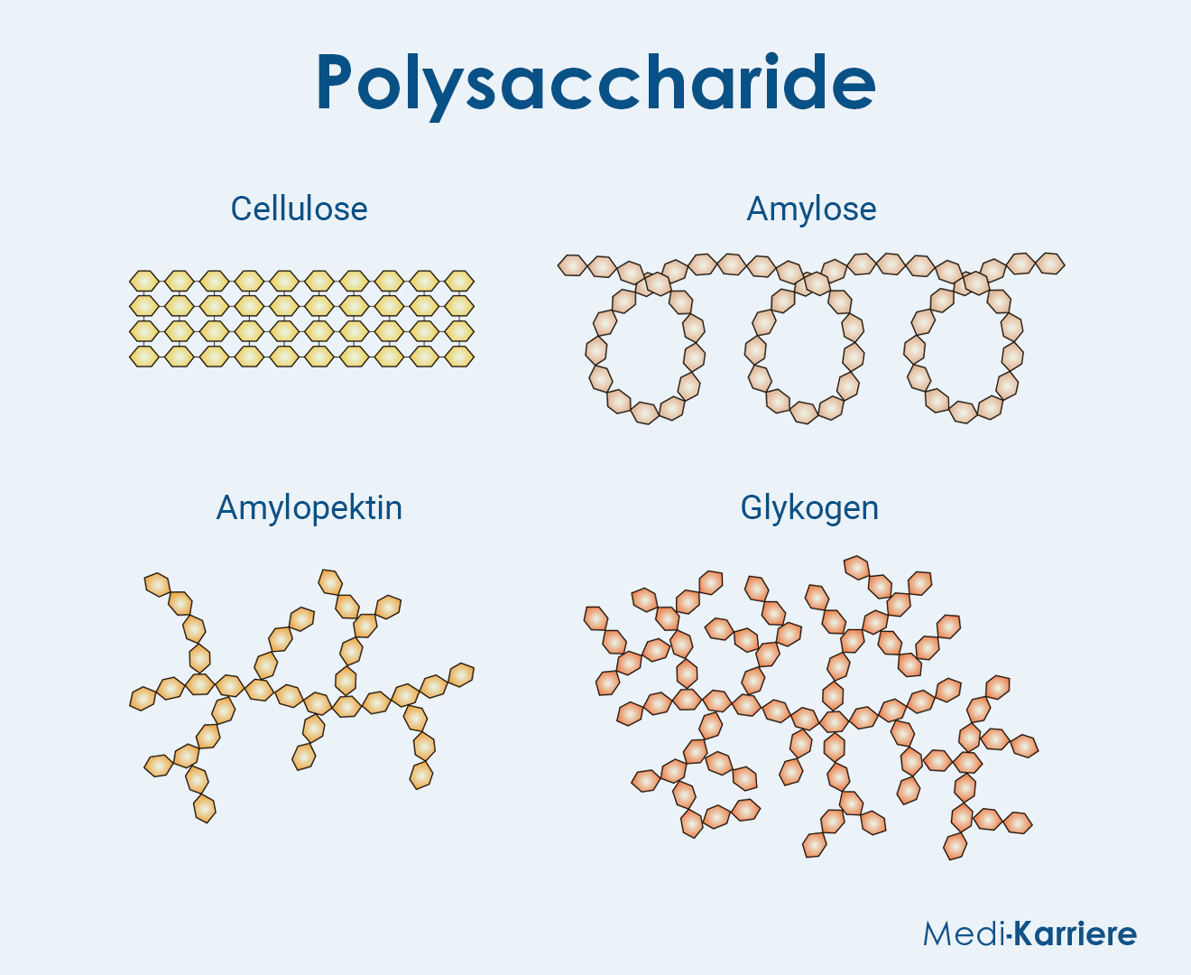 Cellulose Grafik