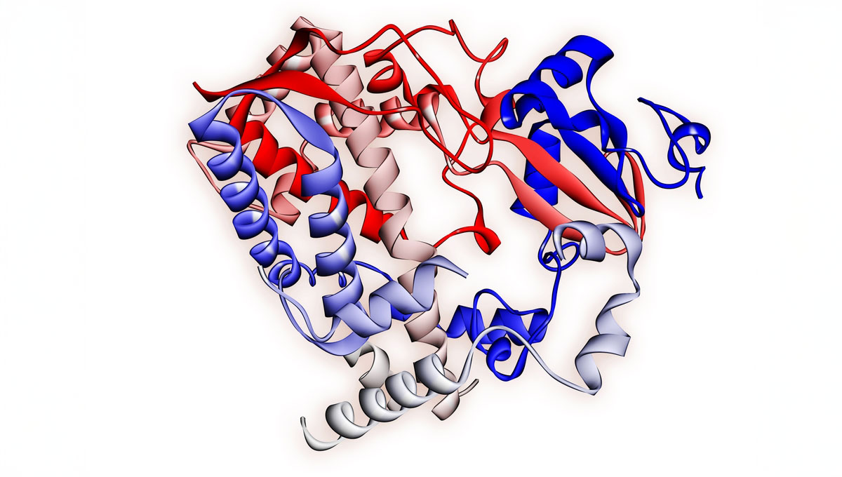 Cytochrome,P450,Molecule.,Cyp,3a4,Is,The,Most,Promiscuous,Of