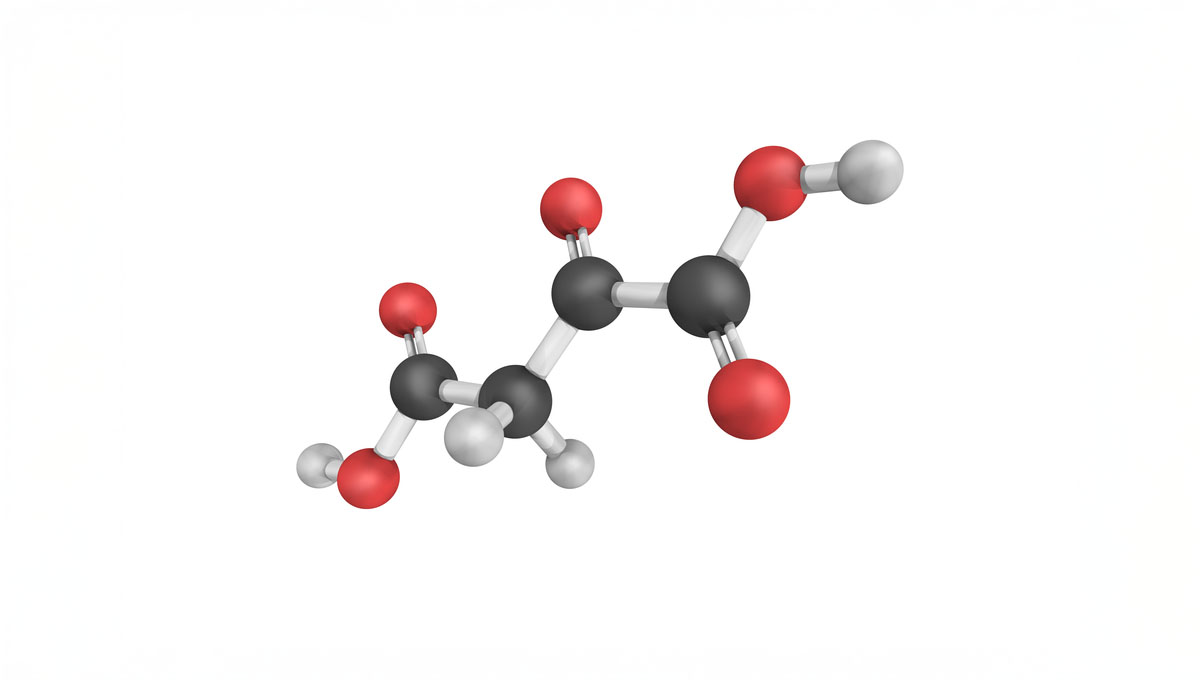 3d,Structure,Of,Oxaloacetic,Acid,(also,Known,As,Oxalacetic,Acid),