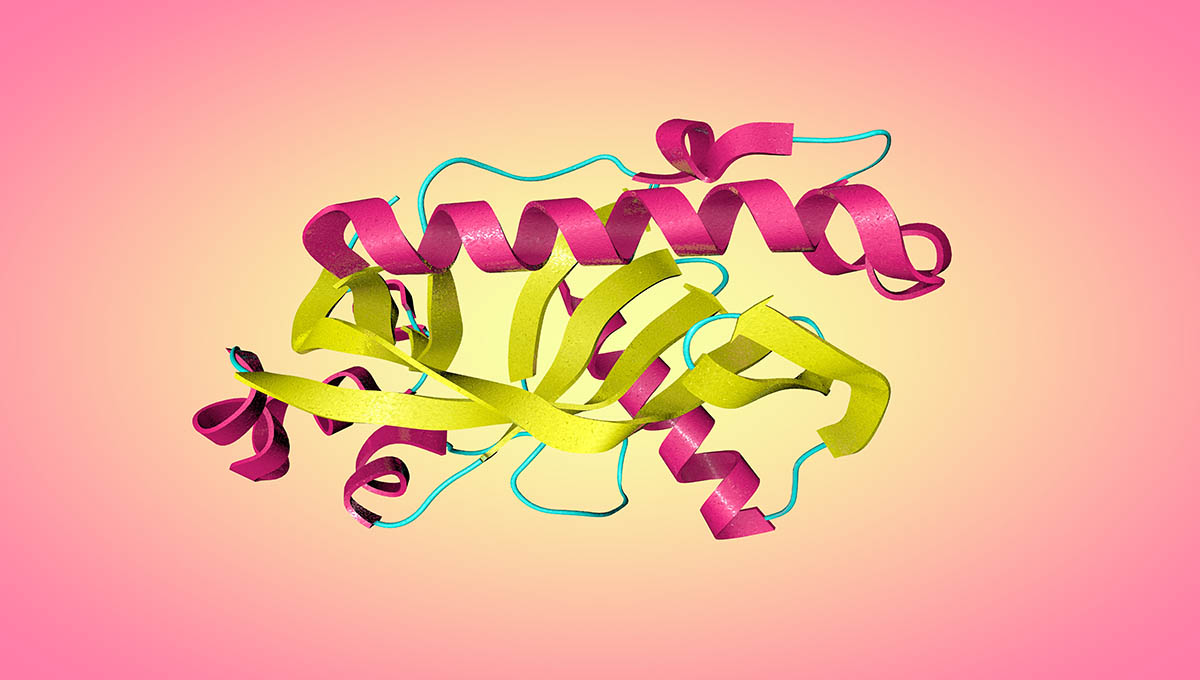 Crystal,Structure,Of,Human,Phosphodiesterase,,An,Enzyme,That,Plays,A