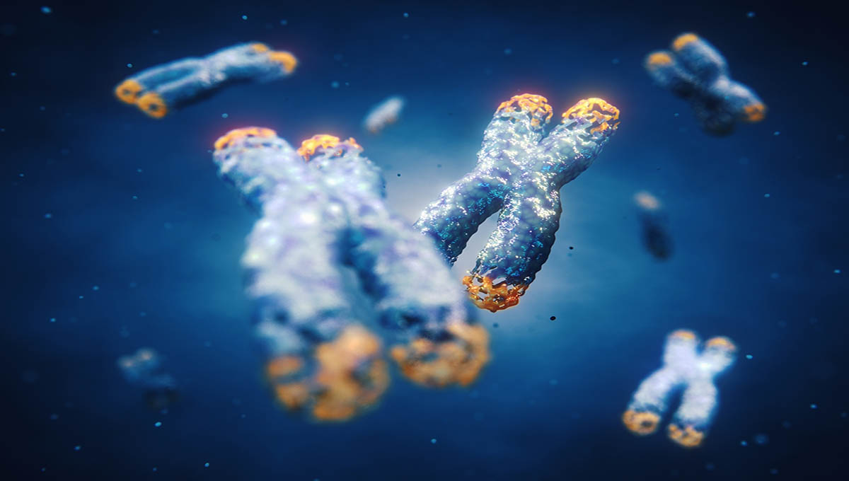 Telomeres,Are,Found,On,Both,Ends,Of,Chromosomes.,Telomere,Length